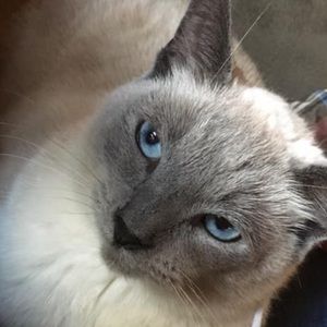 Meet your Posher, Molly